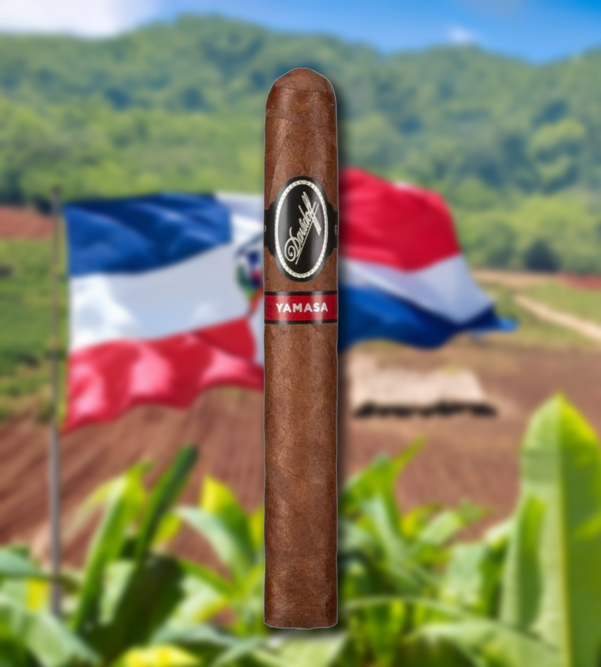 Davidoff Yamasa Toro