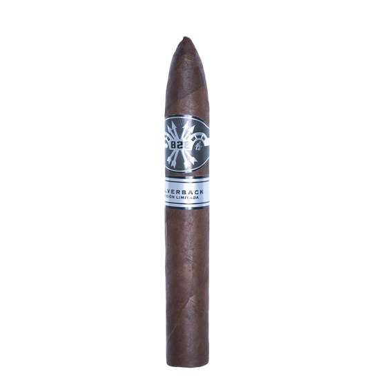 Casa Caraballo 828 Silverback