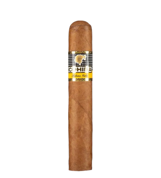 Cohiba Robusto