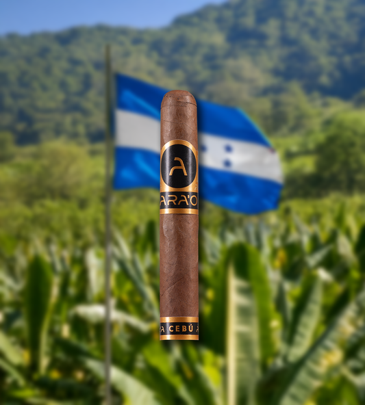 Ara'o Cebu Robusto
